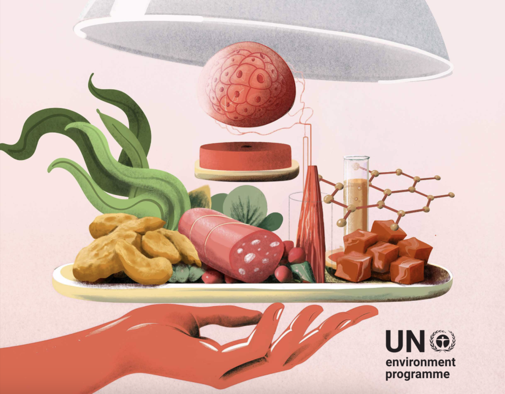 Relatório indica as principais tendências em alimentos alternativos aos de origem animal