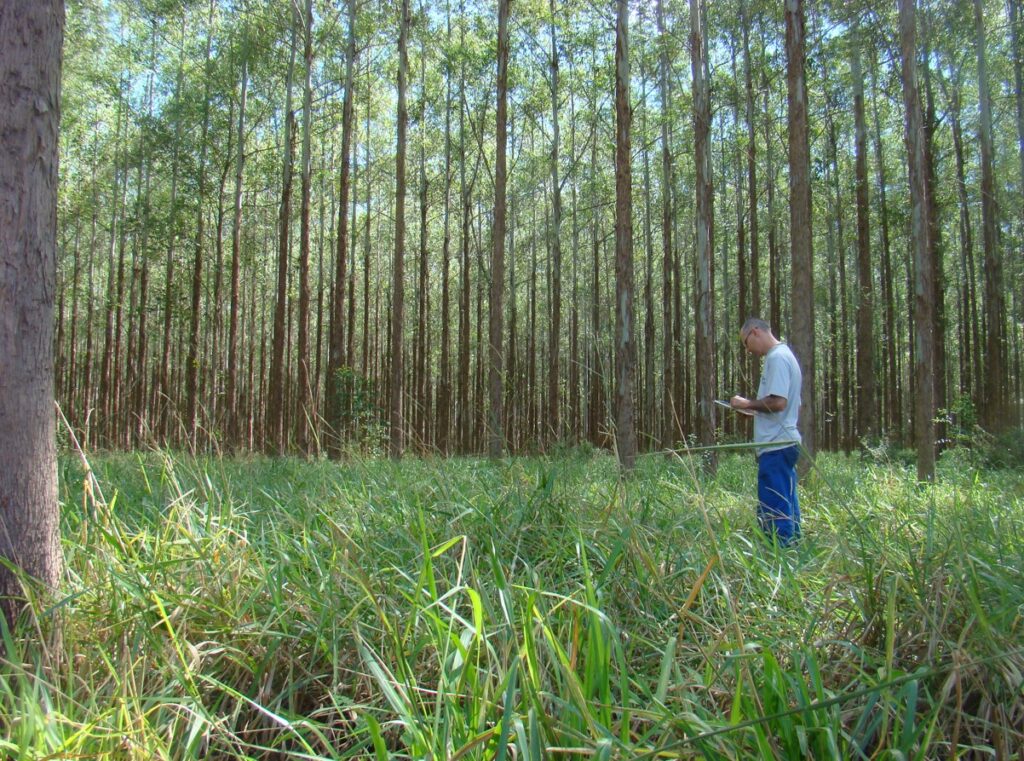 Protocolo brasileiro monitora emissões de GEE na agricultura sustentável