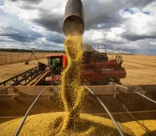 FAO: Transparência e eficiência nos mercados internacionais de commodities são prioridades para alcançar a segurança alimentar