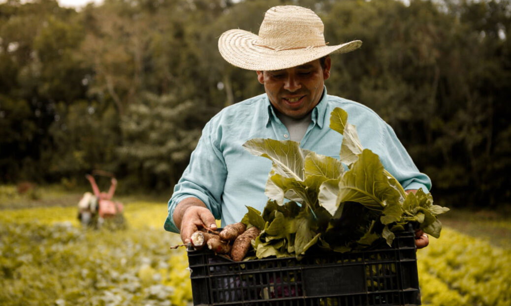 homem carrega cesto com verduras no campo