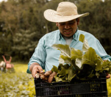 Últimos dias para inscrições na chamada pública de práticas de agricultura sustentável da Aliança pela Inclusão Produtiva