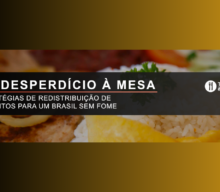 Movimento Todos à Mesa: como a redistribuição de alimentos pode tirar milhões de brasileiros da insegurança alimentar