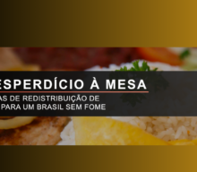 Movimento Todos à Mesa: como a redistribuição de alimentos pode tirar milhões de brasileiros da insegurança alimentar