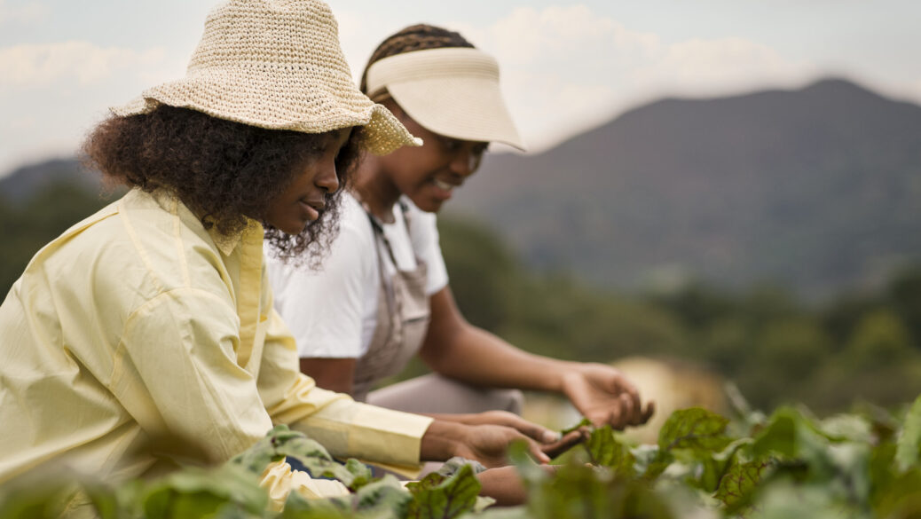 fao inclusao feminina agro