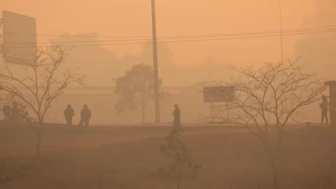 queimadas no Brasil