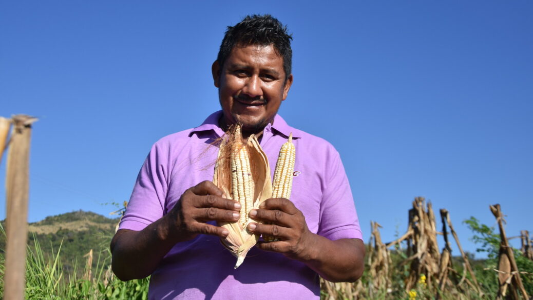 cop 16 alimentação sustentável