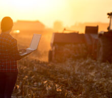 Protagonismo feminino no agronegócio: as boas iniciativas Agropalma e Nestlé