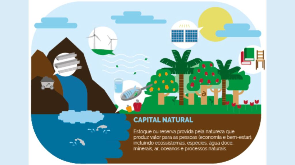 capital natural WEF