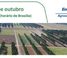 Embrapa apresenta oportunidade de patrocínio a iniciativa ILPF de agropecuária regenerativa