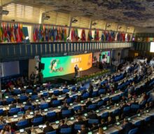 Dia Mundial da Alimentação 2024: FAO destaca compromisso global pelo direito à alimentação e sustentabilidade