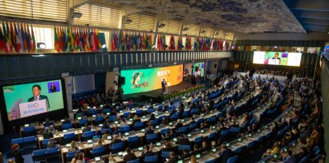 dia mundial da alimentação 2024 FAO