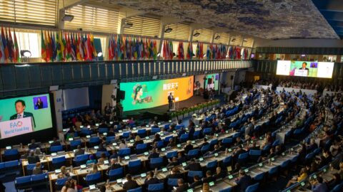 dia mundial da alimentação 2024 FAO