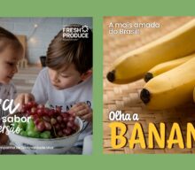 Alimentos saudáveis: chegou a safra da banana e uva que estão com bom preço e qualidade