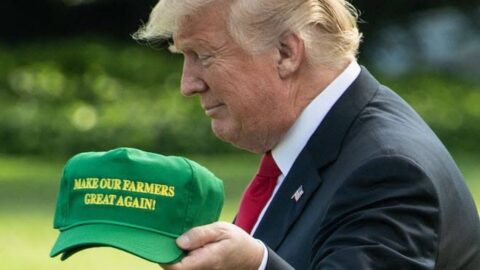 Trump agronegócio