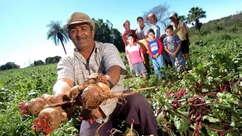 pequeno agricultor familiar com beterrabas nas mãos