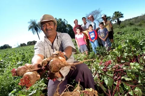 pequeno agricultor familiar com beterrabas nas mãos