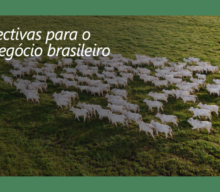 Cenário do agronegócio brasileiro para 2025: as indicações no novo relatório Rabobank