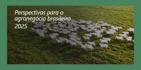 cenário agronegócio brasileiro rabobank 2025