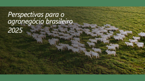 cenário agronegócio brasileiro rabobank 2025