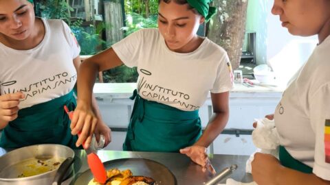 Instituto Capim Santo curso profissional alimentos final ano