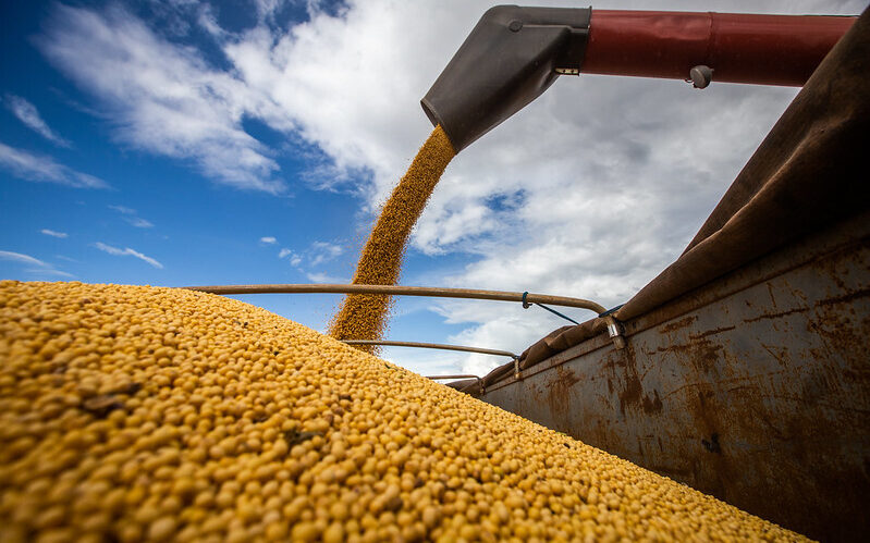 crédito agro gustavao diniz junqueira