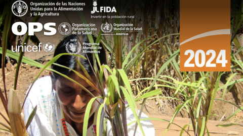 Segurança alimentar na América Latina e Caribe: novo relatório da FAO aponta avanços e desafios persistentes