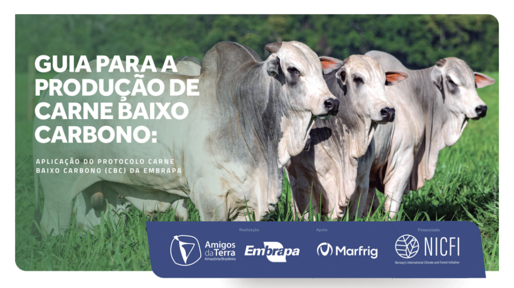 Práticas para reduzir emissões de carbono na pecuária brasileira ampliam competitividade