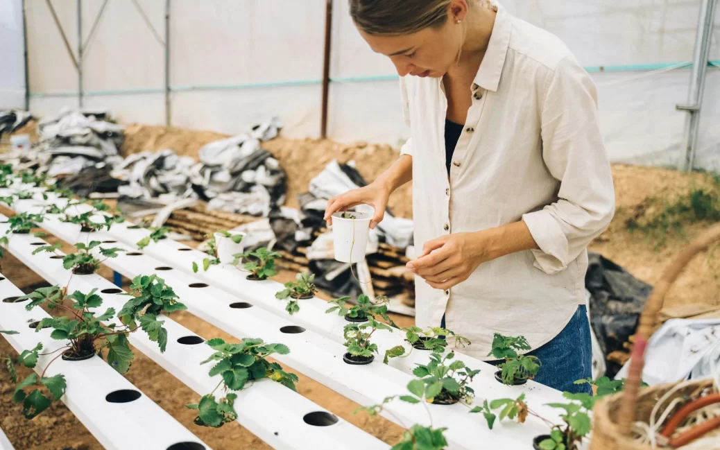 mulher cultivando verduras fazenda vertical