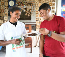 Insetos ajudam na preservação de lêmures em Madagascar e promovem biodiversidade