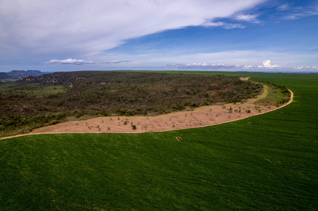 parque vida cerrado _ ADM