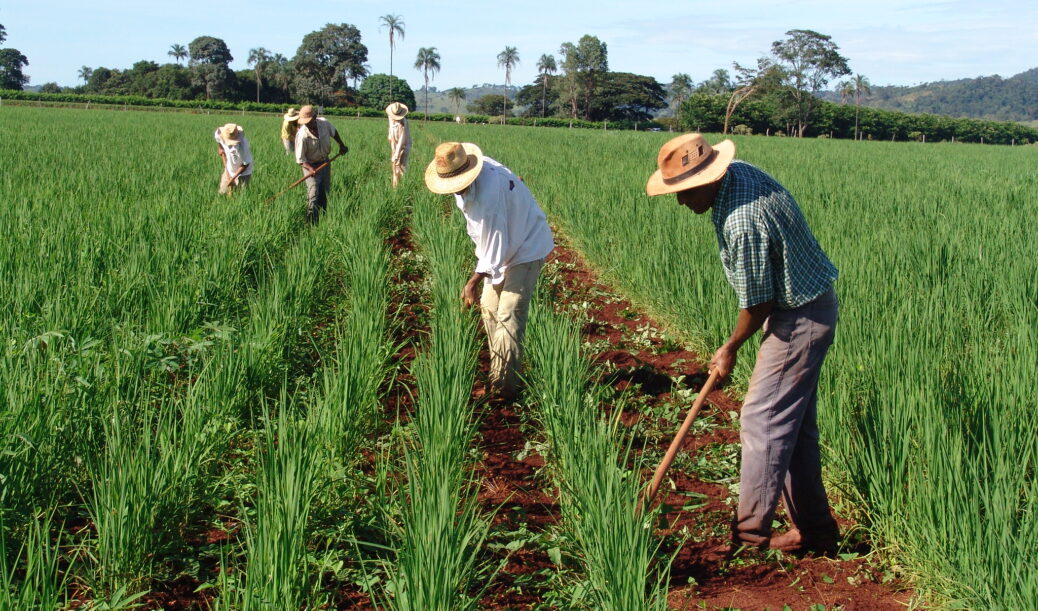 pequenos produtores rurais trabalhando a terra