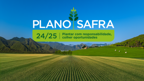 plano safra 2024 2025 governo federal