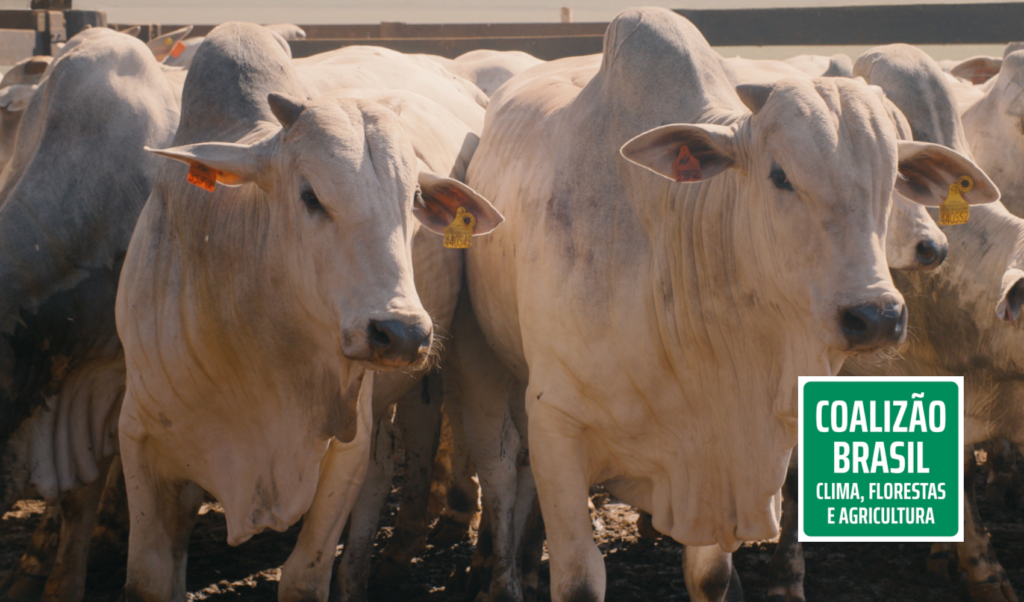 Brasil Avança na Rastreabilidade Animal: Propostas Visam Garantir Sustentabilidade e Segurança Alimentar