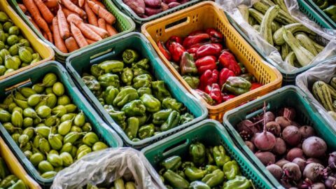 alimentos saudáveis nordeste PAS