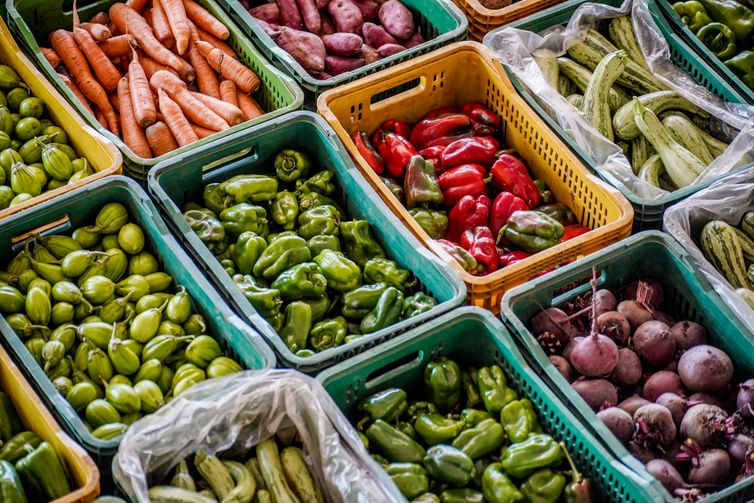 alimentos saudáveis nordeste PAS