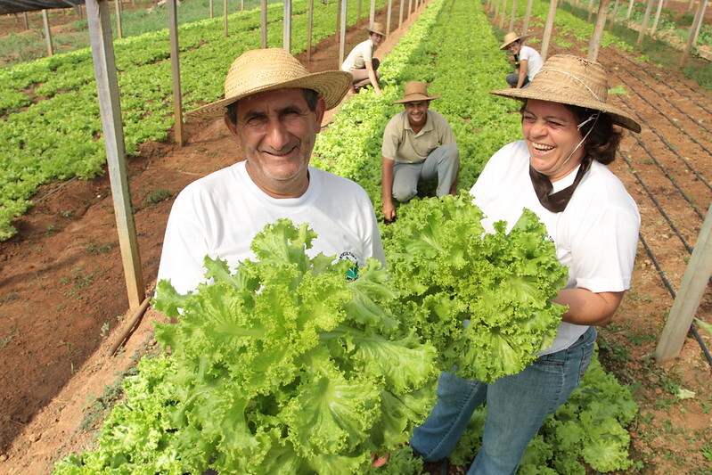 agricultura familiar pequeno produtor rural abastece sp