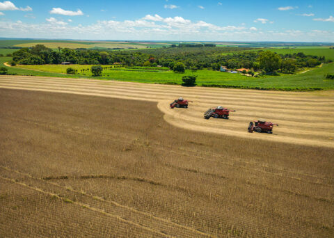 credito de carbono agro brasileiro