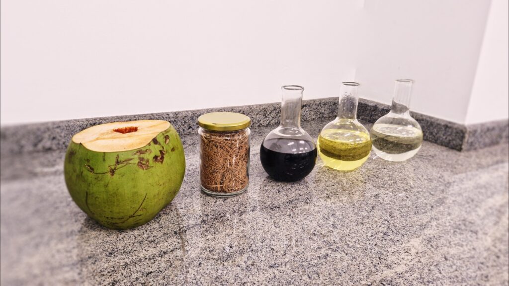 biocombustível de coco