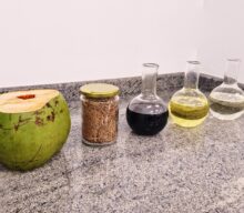 Biocombustível de coco impulsiona a transição energética no Brasil