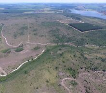 Perda de biodiversidade causada por ações humanas é maior do que se pensava