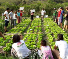 Fundação Banco do Brasil fortalece agricultura familiar e retenção de jovens no campo com agroecologia