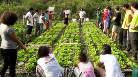 Fundação Banco do Brasil agroecologia