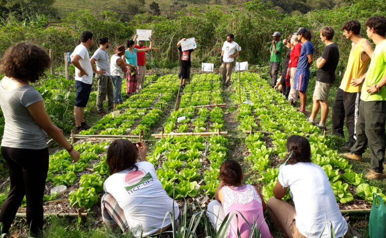 Fundação Banco do Brasil agroecologia