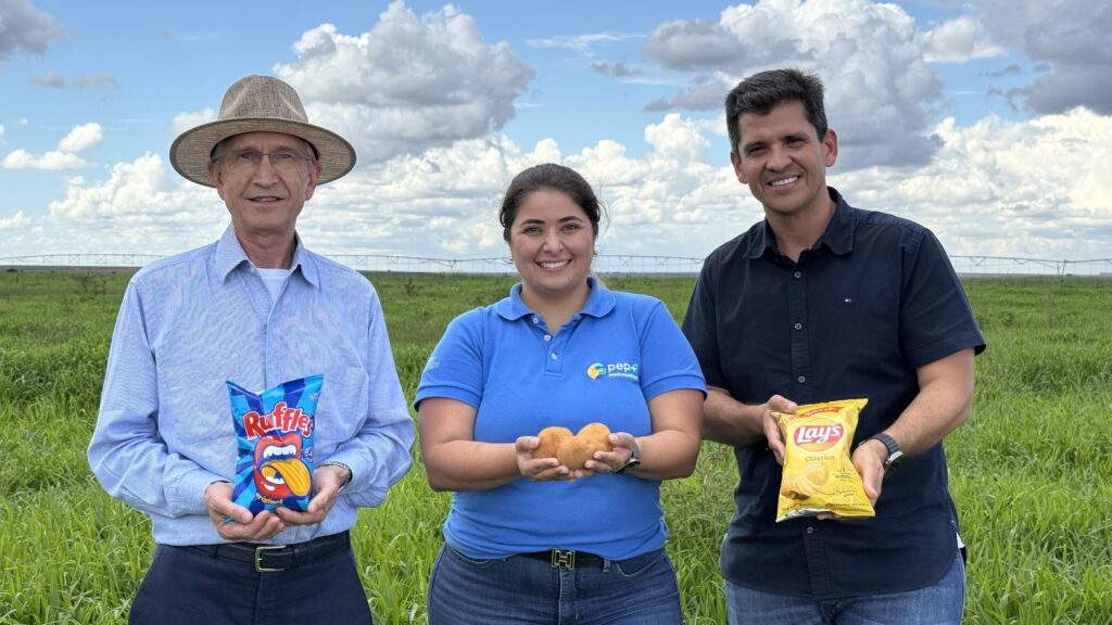 plantas cobertura batatas pepsico