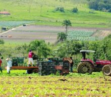 Governo de SP anuncia R$ 100 milhões para subvenção do seguro rural na Agrishow 2025