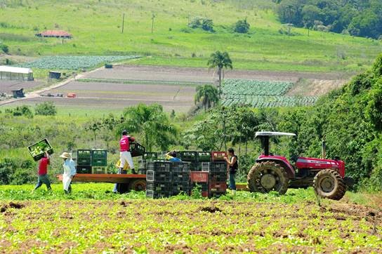 seguro rural governo sao paulo
