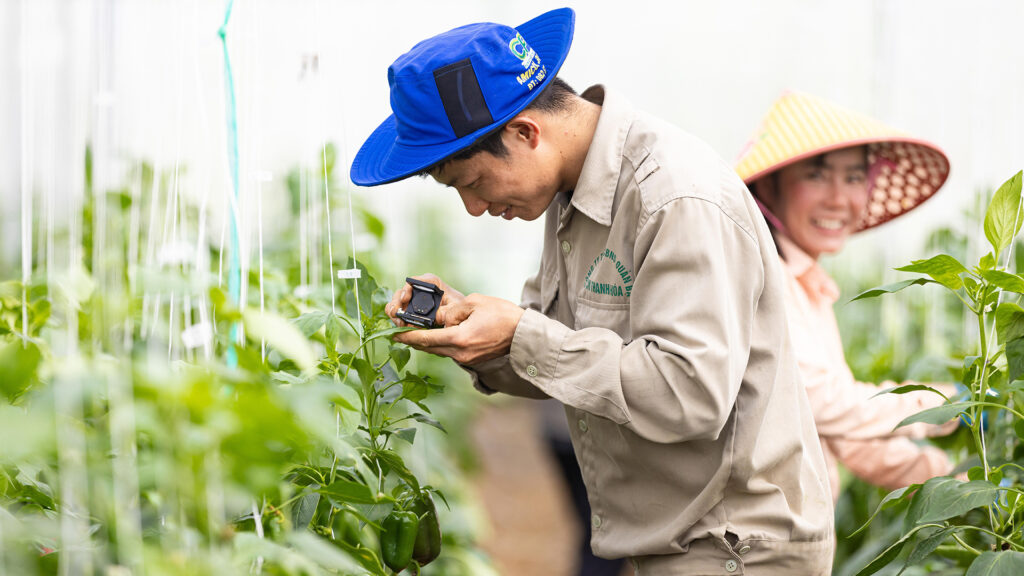 agricultura vietnam agtech