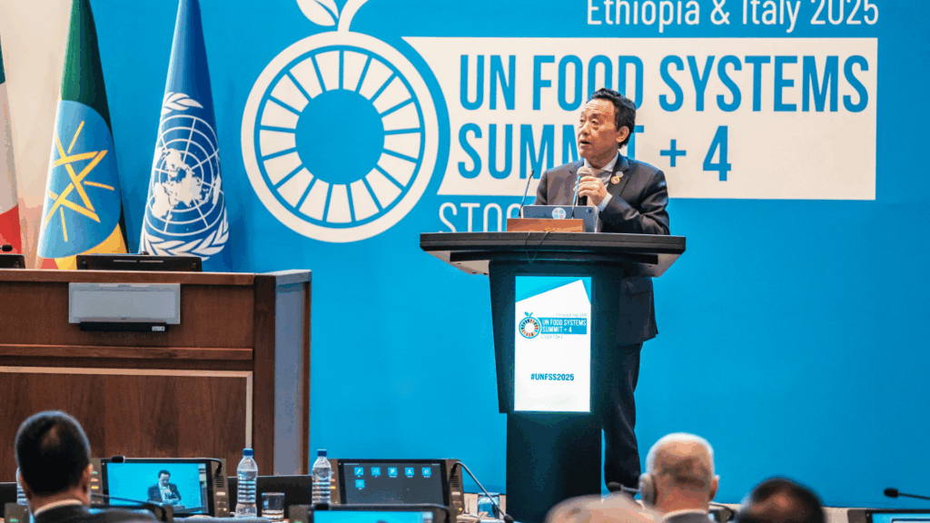 FAO Etiopia Segurança Alimentar Food Security