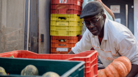 Sistema Nacional de Segurança Alimentar e Nutricional