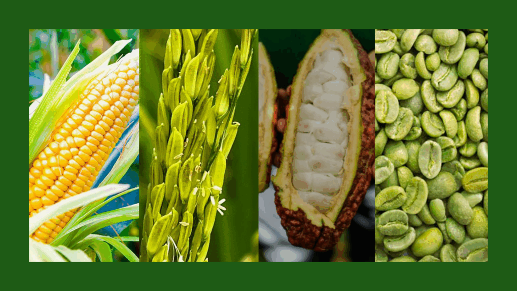 alimentos abia relatorio